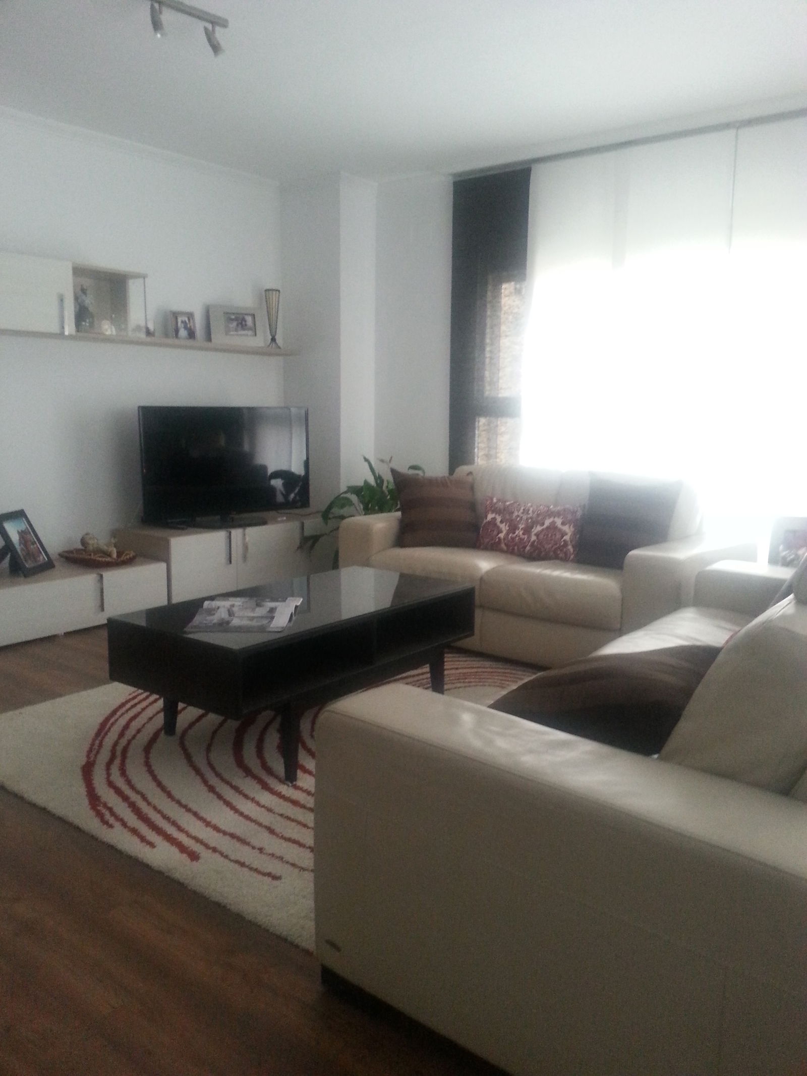 Gastfamilie Valencia 124485