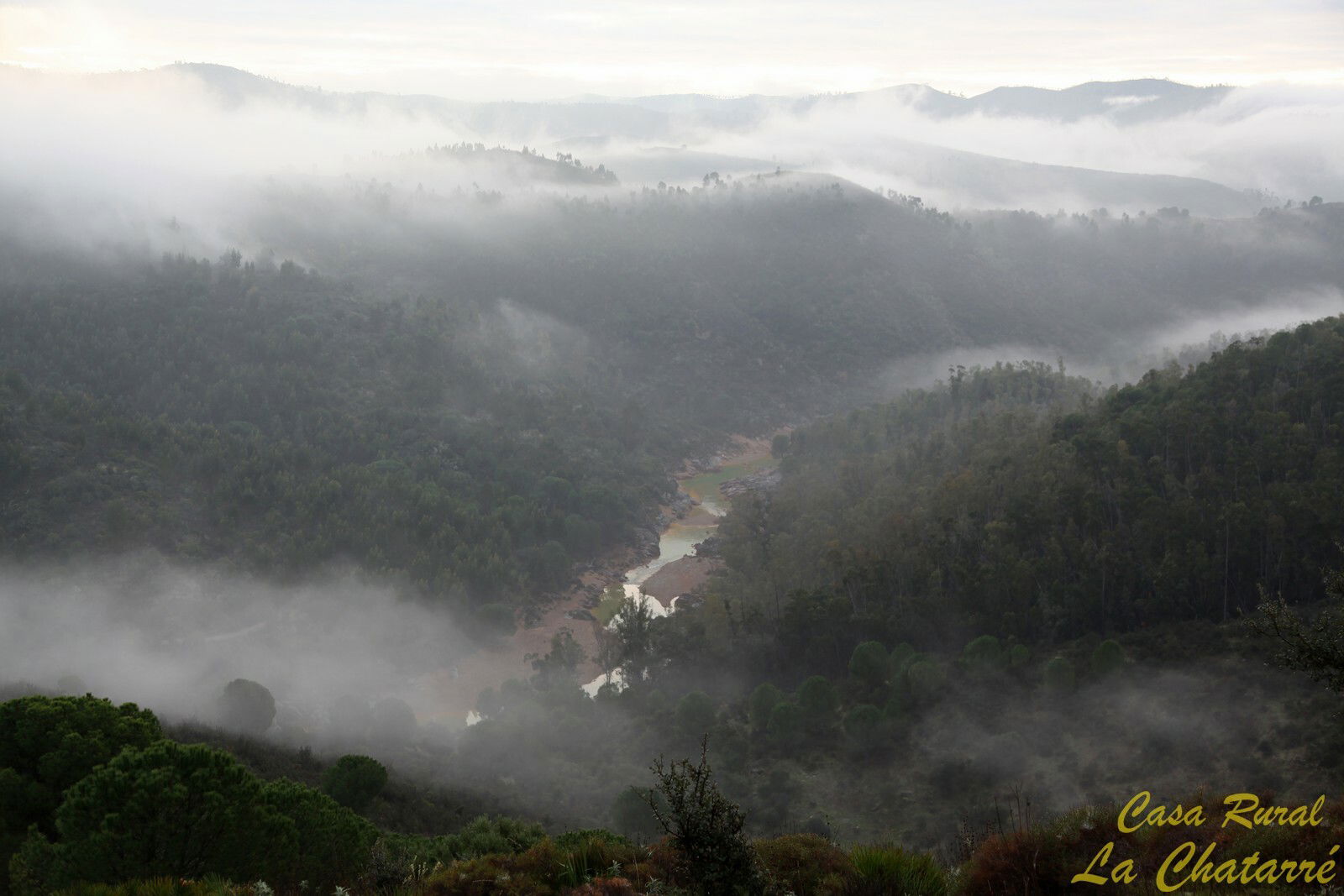 Unabhängiges Studio Calañas 257028