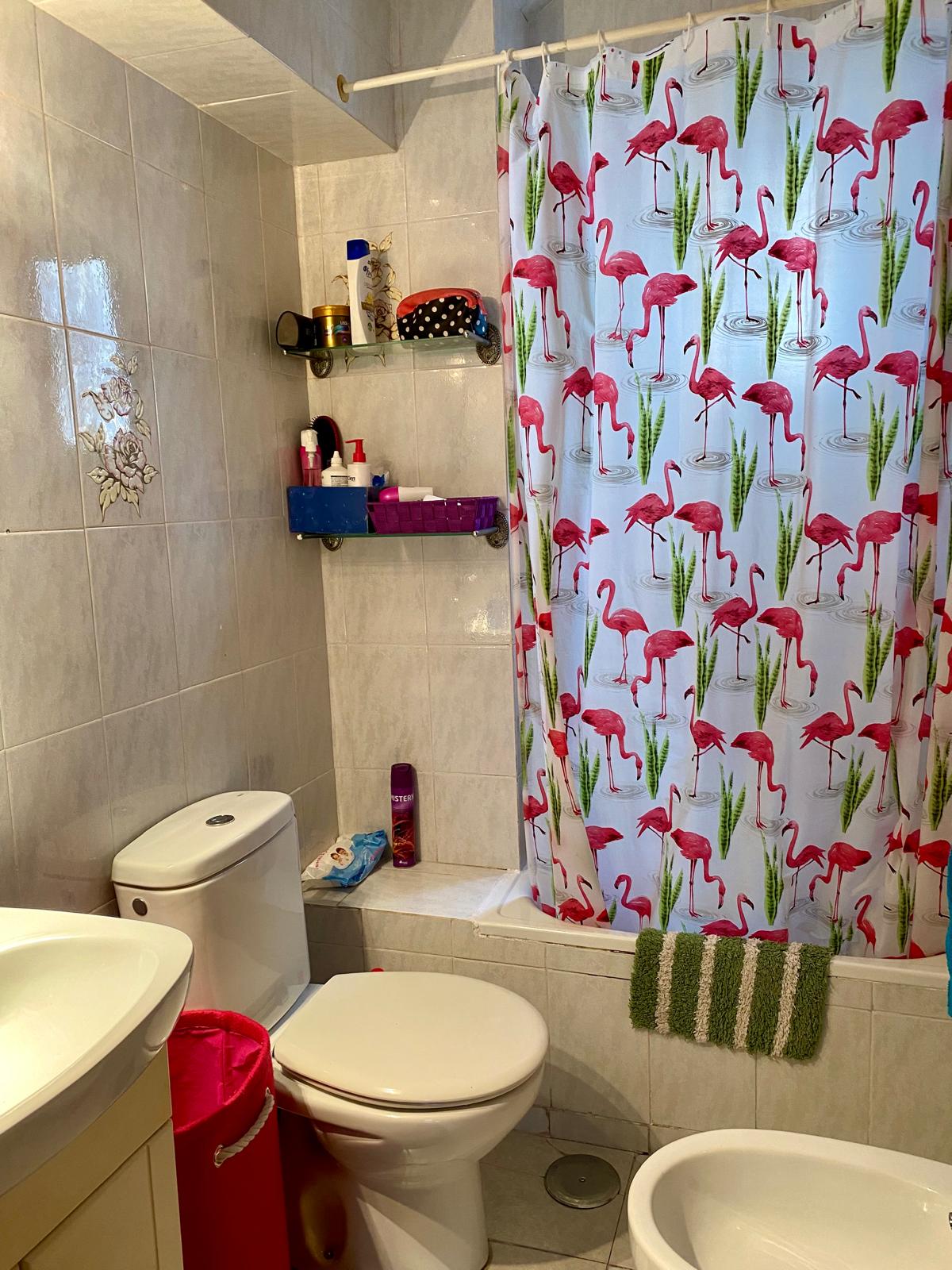 Homestay Madrid 668742
