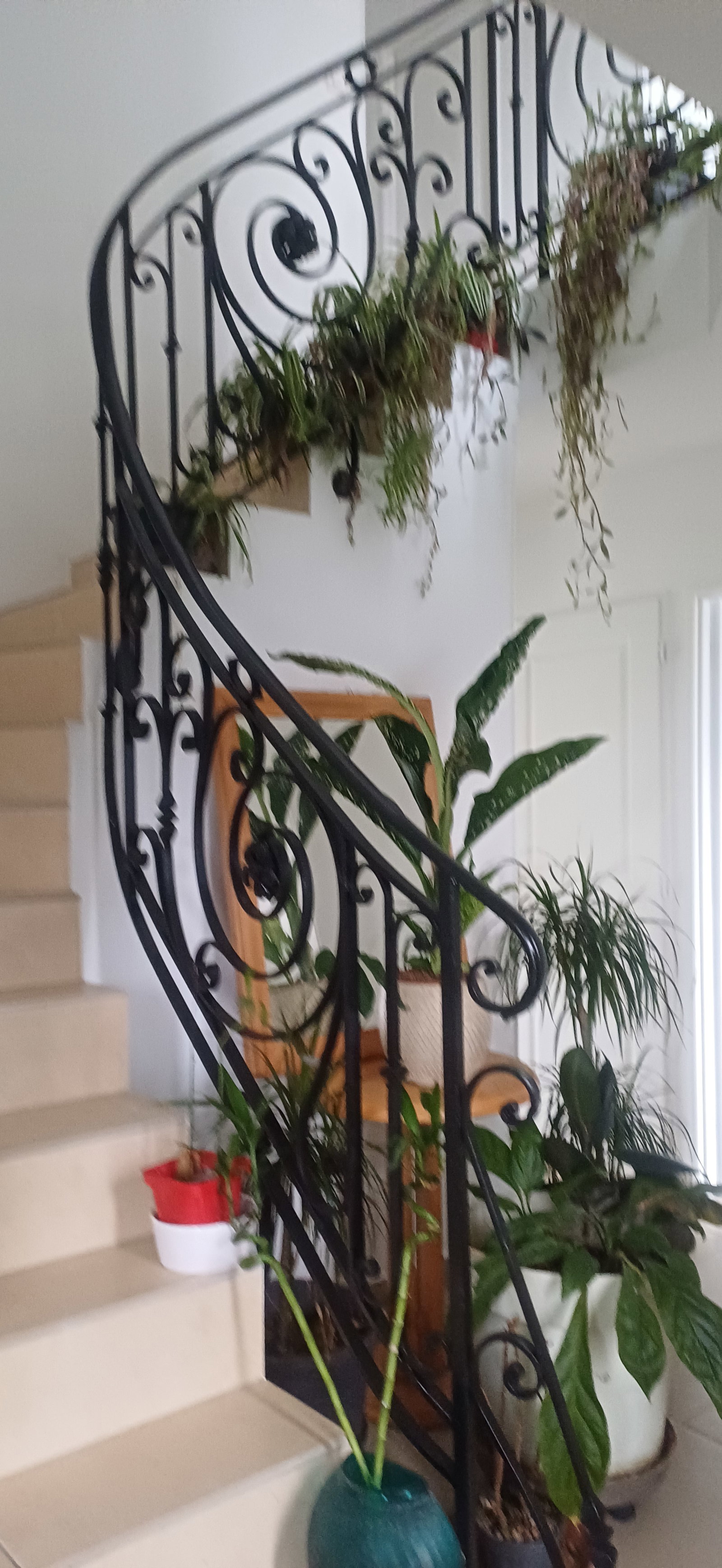 Homestay Quincy-Voisins 236756