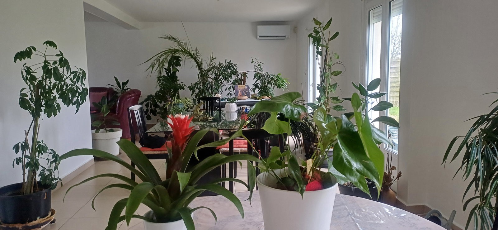 Homestay Quincy-Voisins 236756