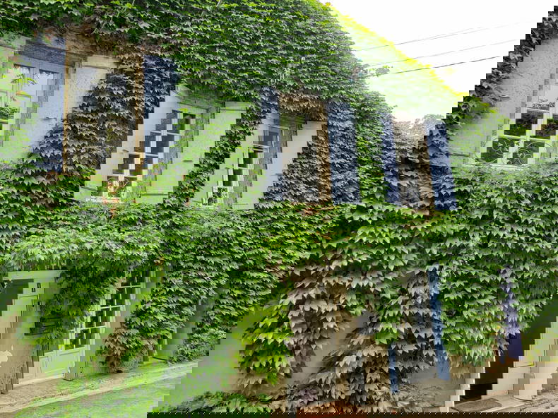 Colocation Villepinte 283836-3