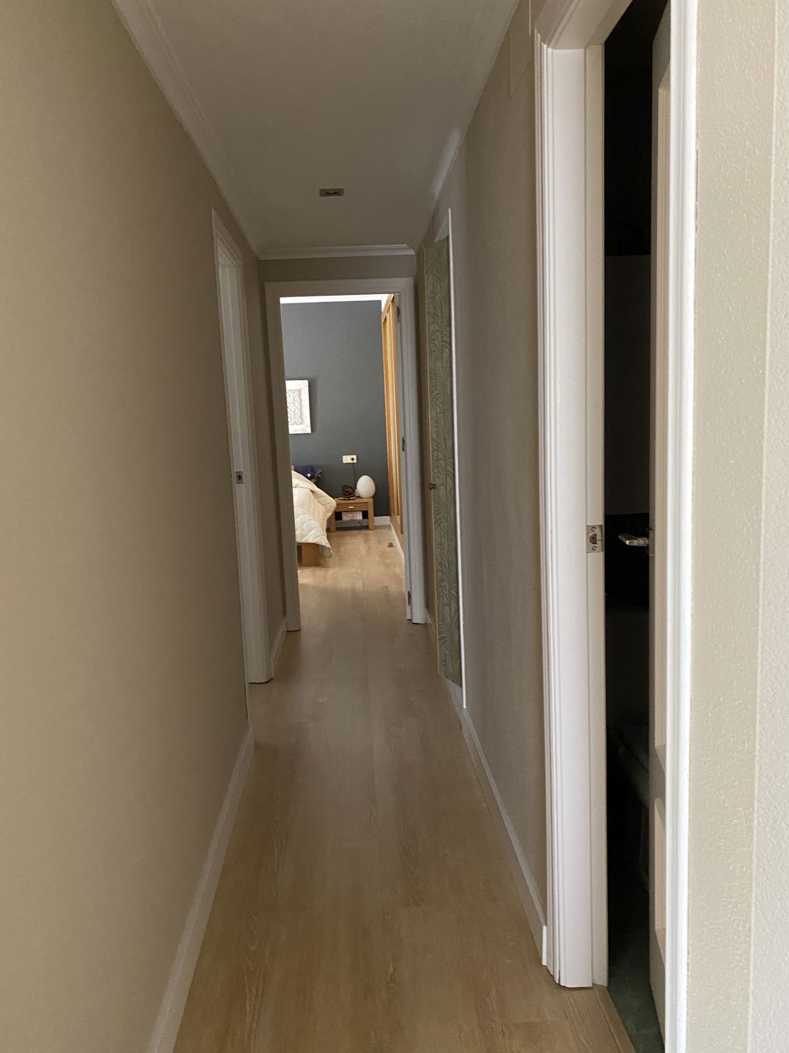 Homestay Alicante 123540