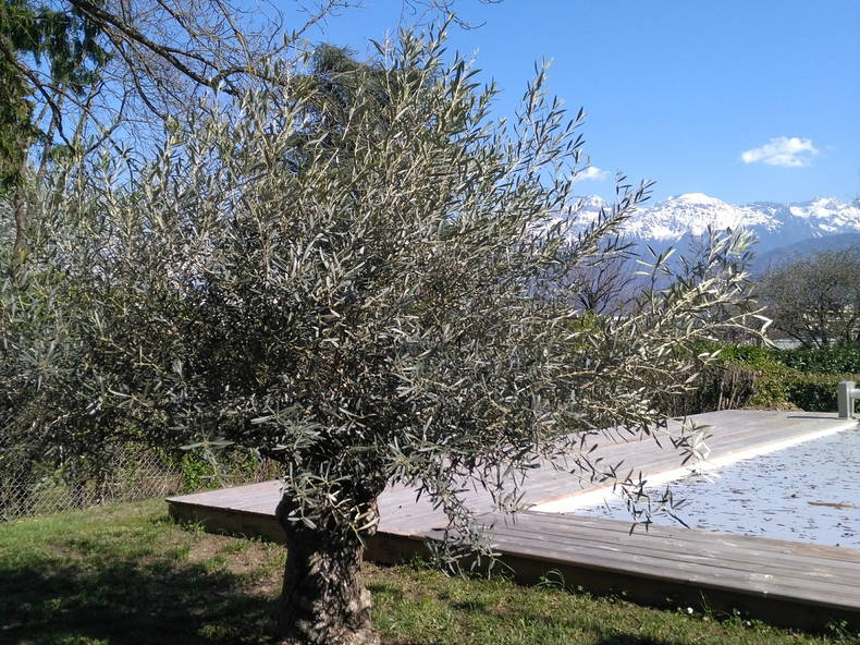 Gastgezin Corenc 175351-2