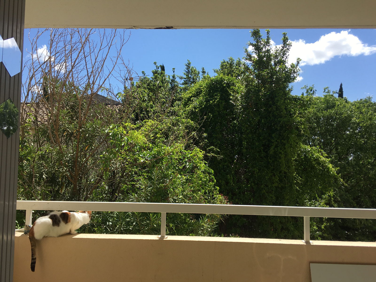 Homestay Montpellier 266414