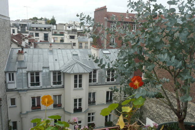 Homestay Paris 16998