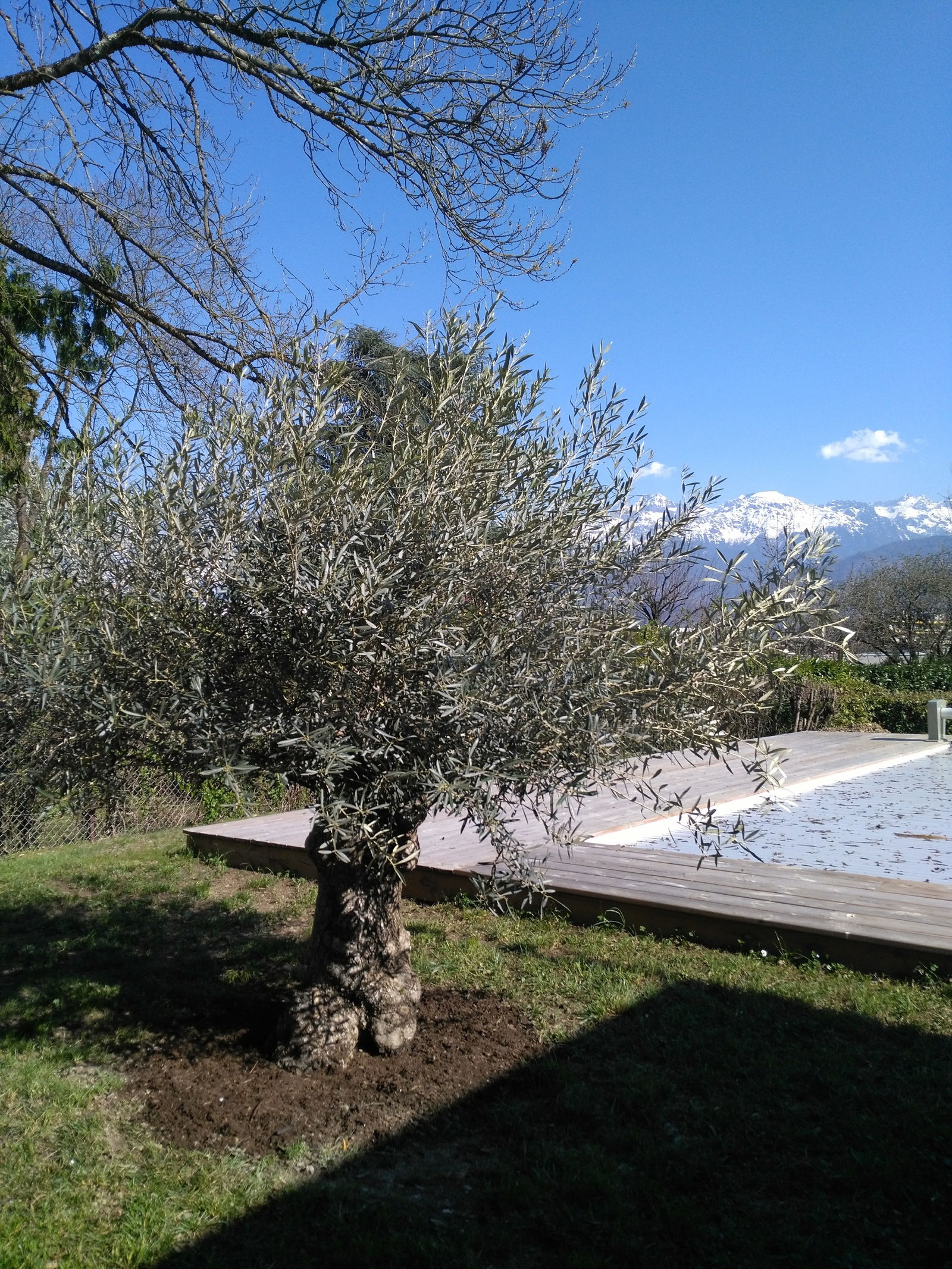 Homestay Corenc 175351