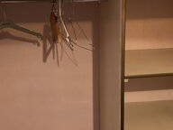 Homestay Oullins 256756-5