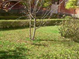 Homestay Granada 245190-2