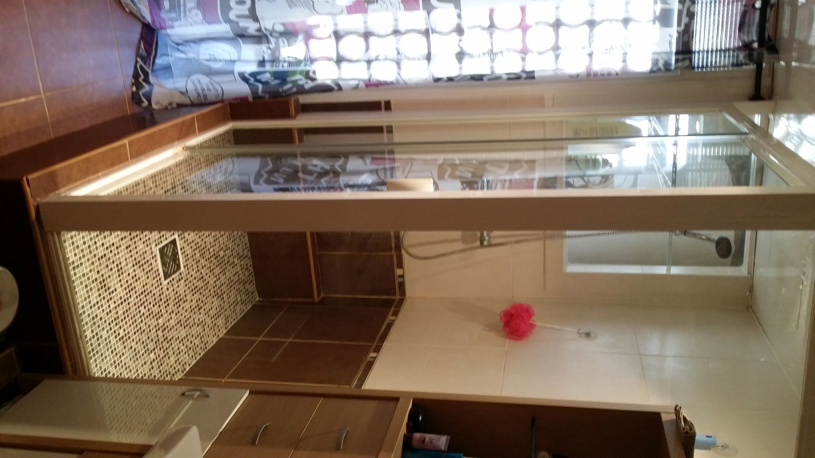 Colocation Montpellier 86722