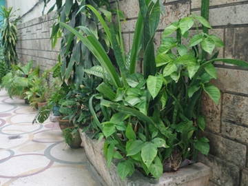 Logement Entier La Havane 180306-9