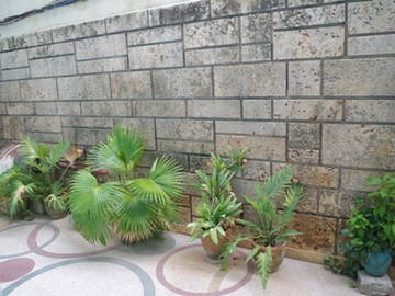 Logement Entier La Havane 180306-11