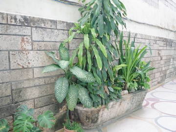 Logement Entier La Havane 180306-12