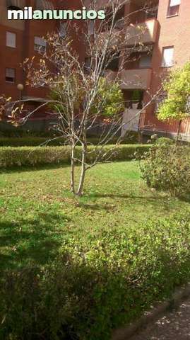 Gastfamilie Granada 245190