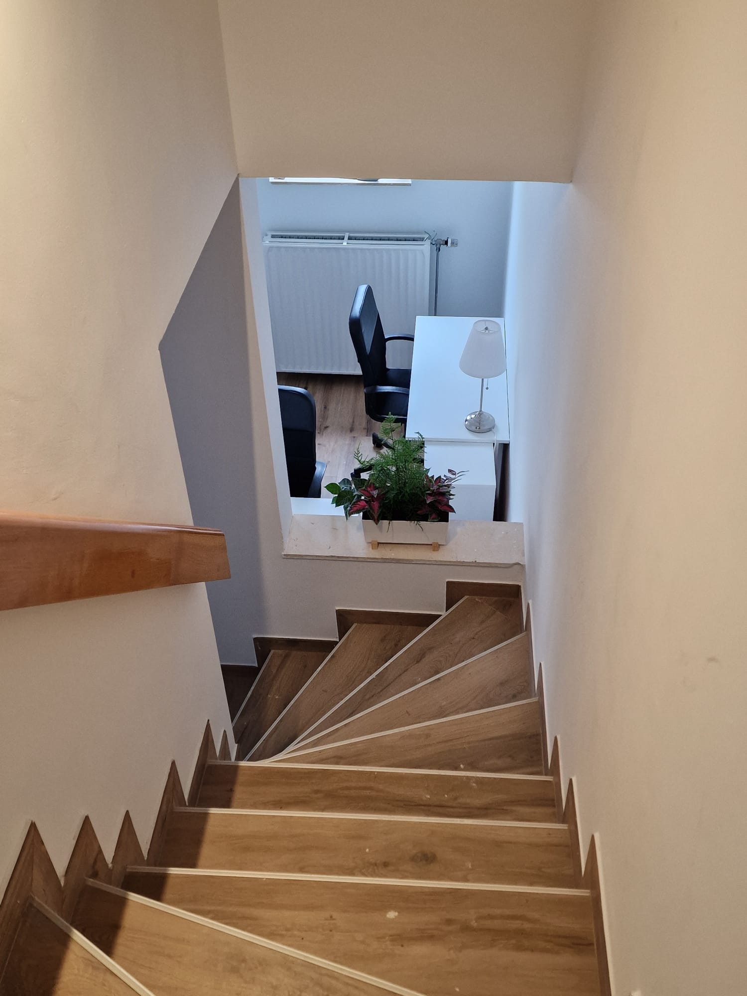 Kolokation Arlon 582614