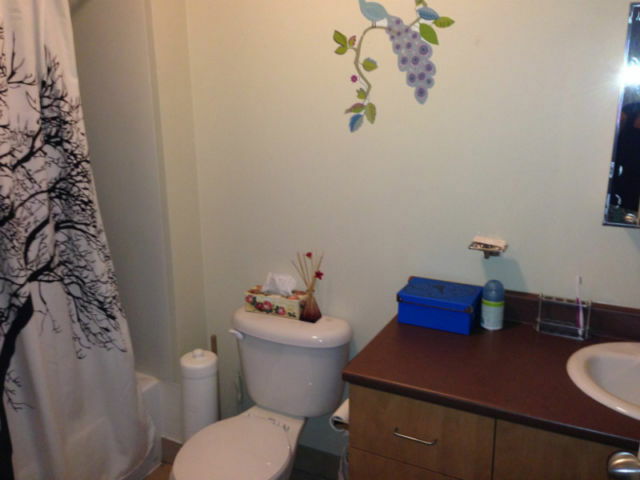 Colocation Sherbrooke 98624