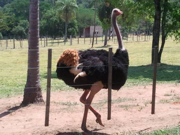 Chambre Chez L'habitant Asuncion 88612-9