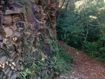 Chambre Chez L'habitant Asuncion 88612-11