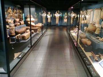 Chambre Chez L'habitant Asuncion 88612-12