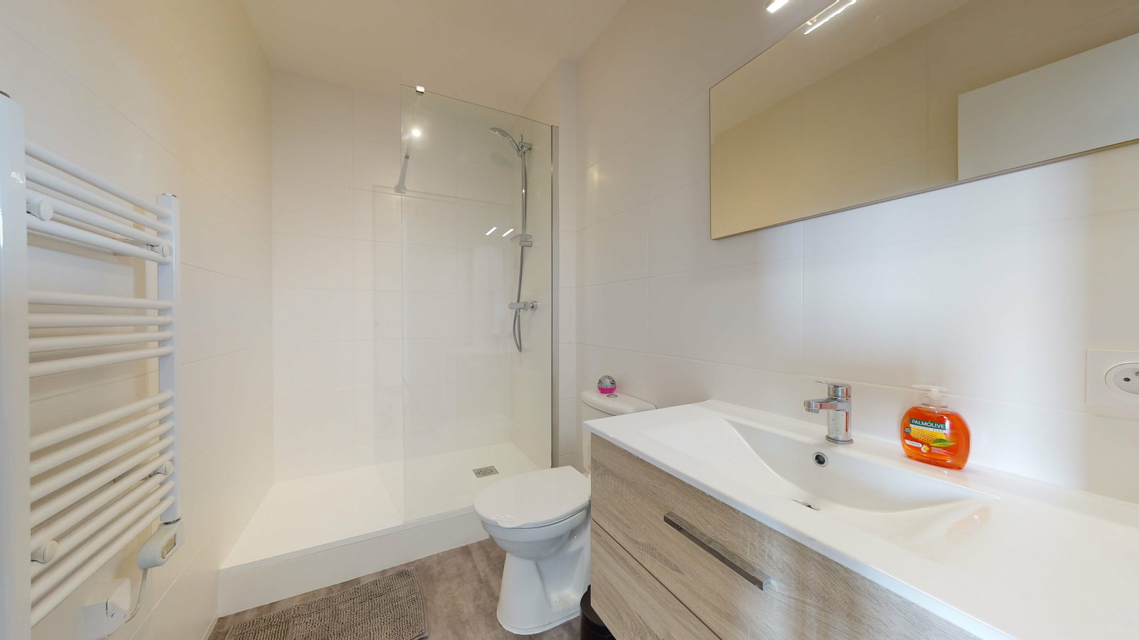 Colocation Saint-Priest 243843