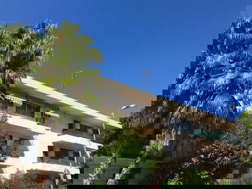 Colocation Perpignan 266876-13