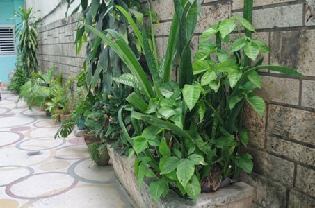 Tutta La Casa La Havane 180306