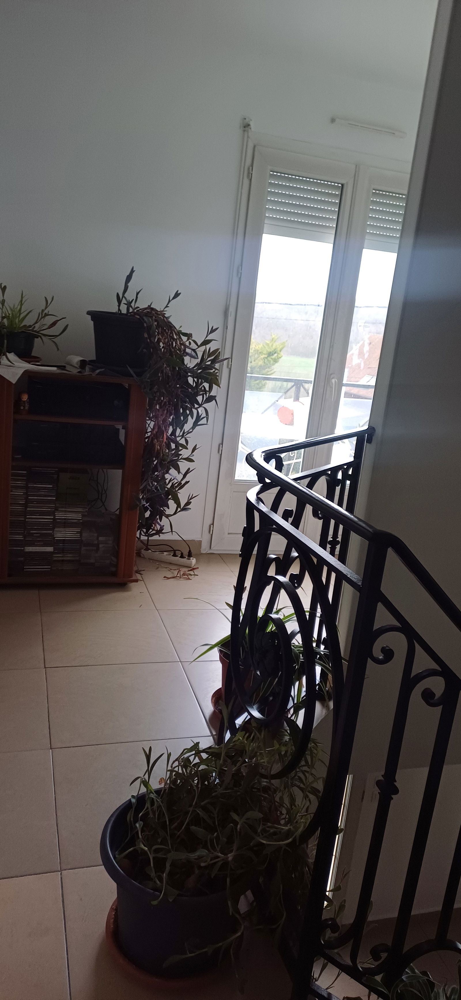 Gastfamilie Quincy-Voisins 236756