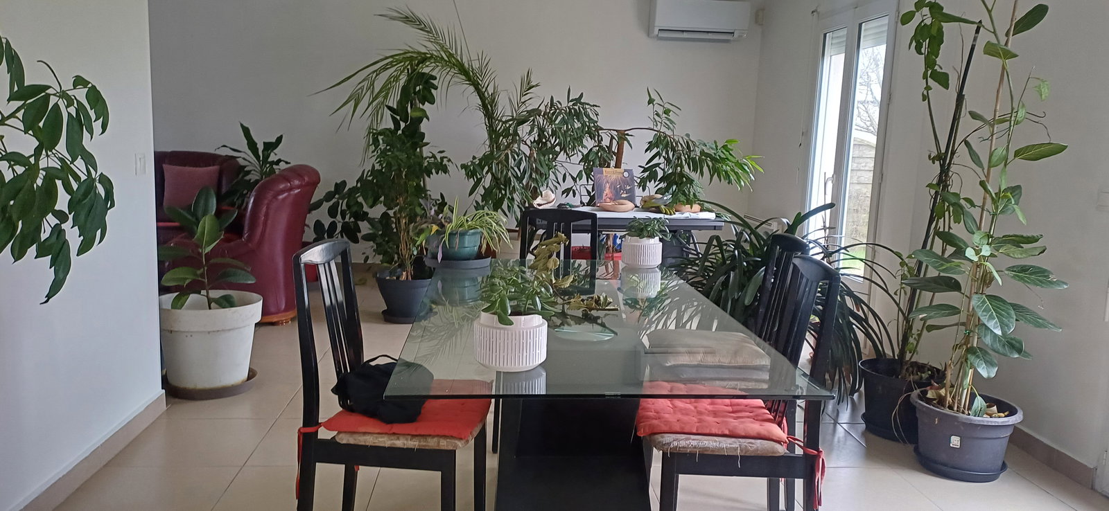 Gastfamilie Quincy-Voisins 236756