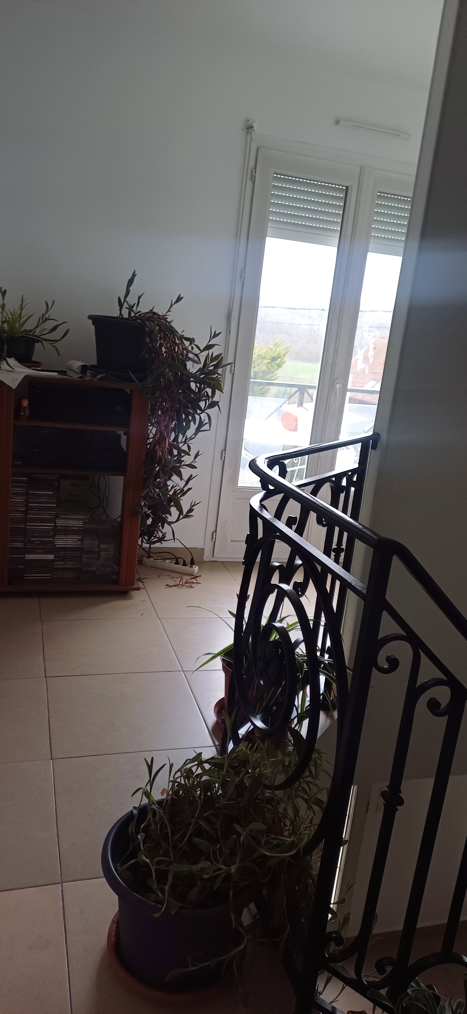 Gastfamilie Quincy-Voisins 236756