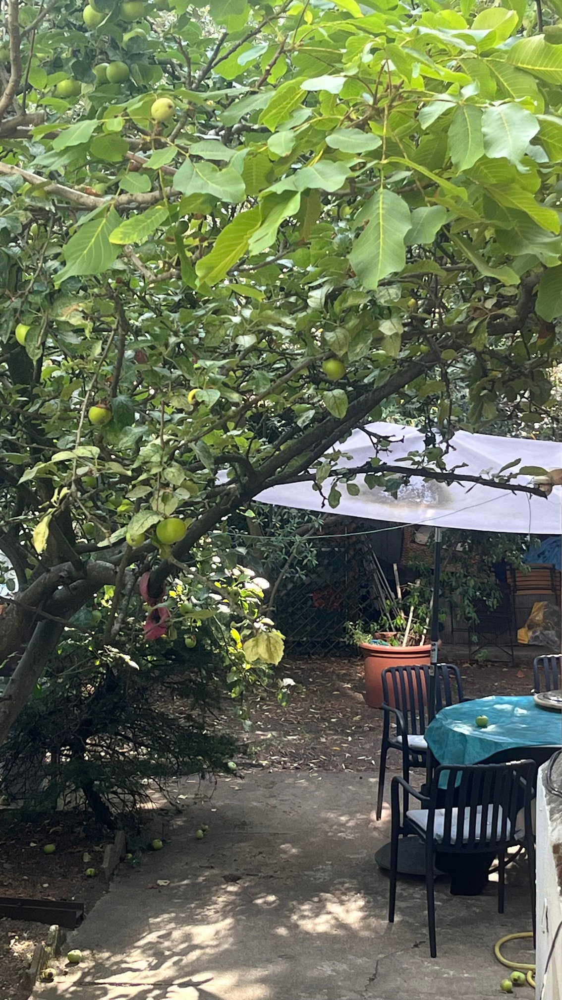 Pokoje Gościnne Boulogne-Billancourt 640754