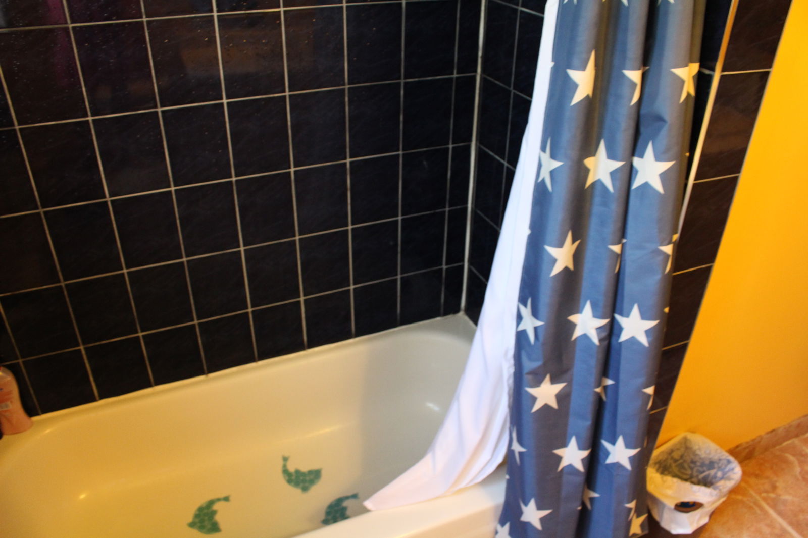 Colocation Ville de Québec 162227