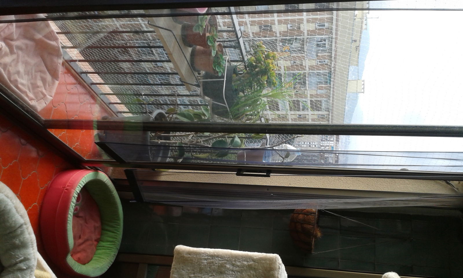 Colocatie Barcelona 87586