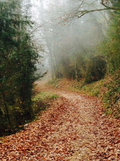 Famiglia Cerdon 129088