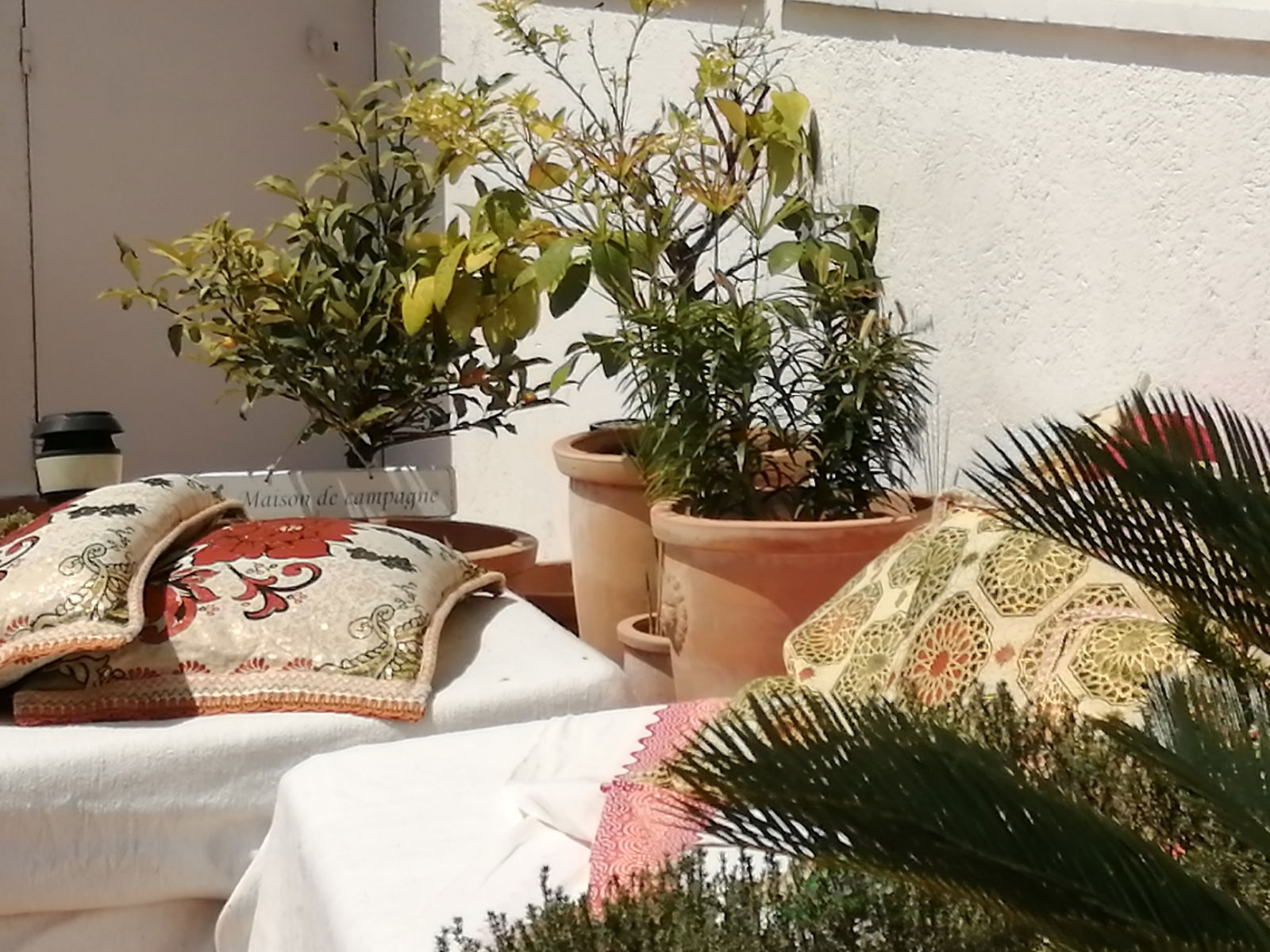 Collocazione Le Cannet 164976