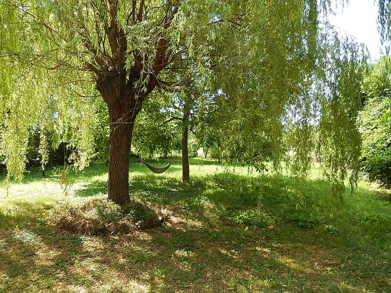 Homestay Poviglio 237390-4