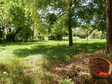 Chambre Chez L'habitant Poviglio 237390-6