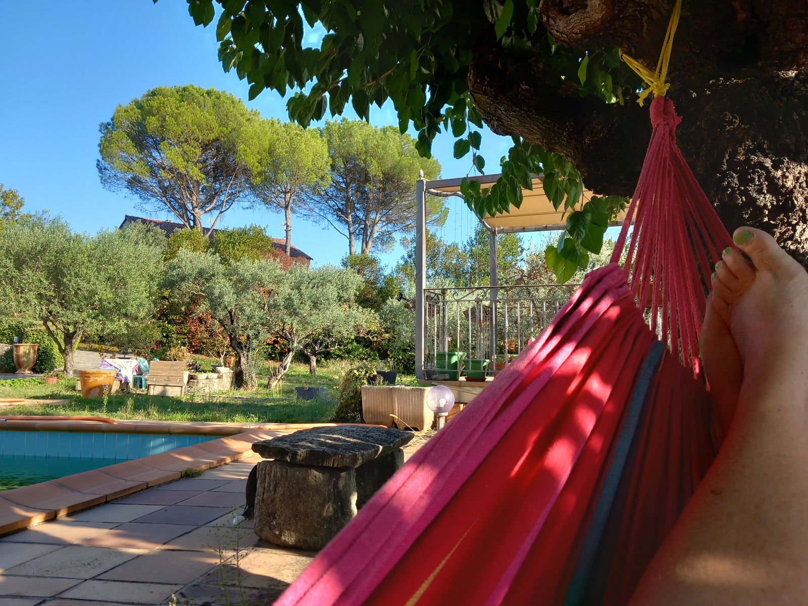 Famiglia Alès 264216