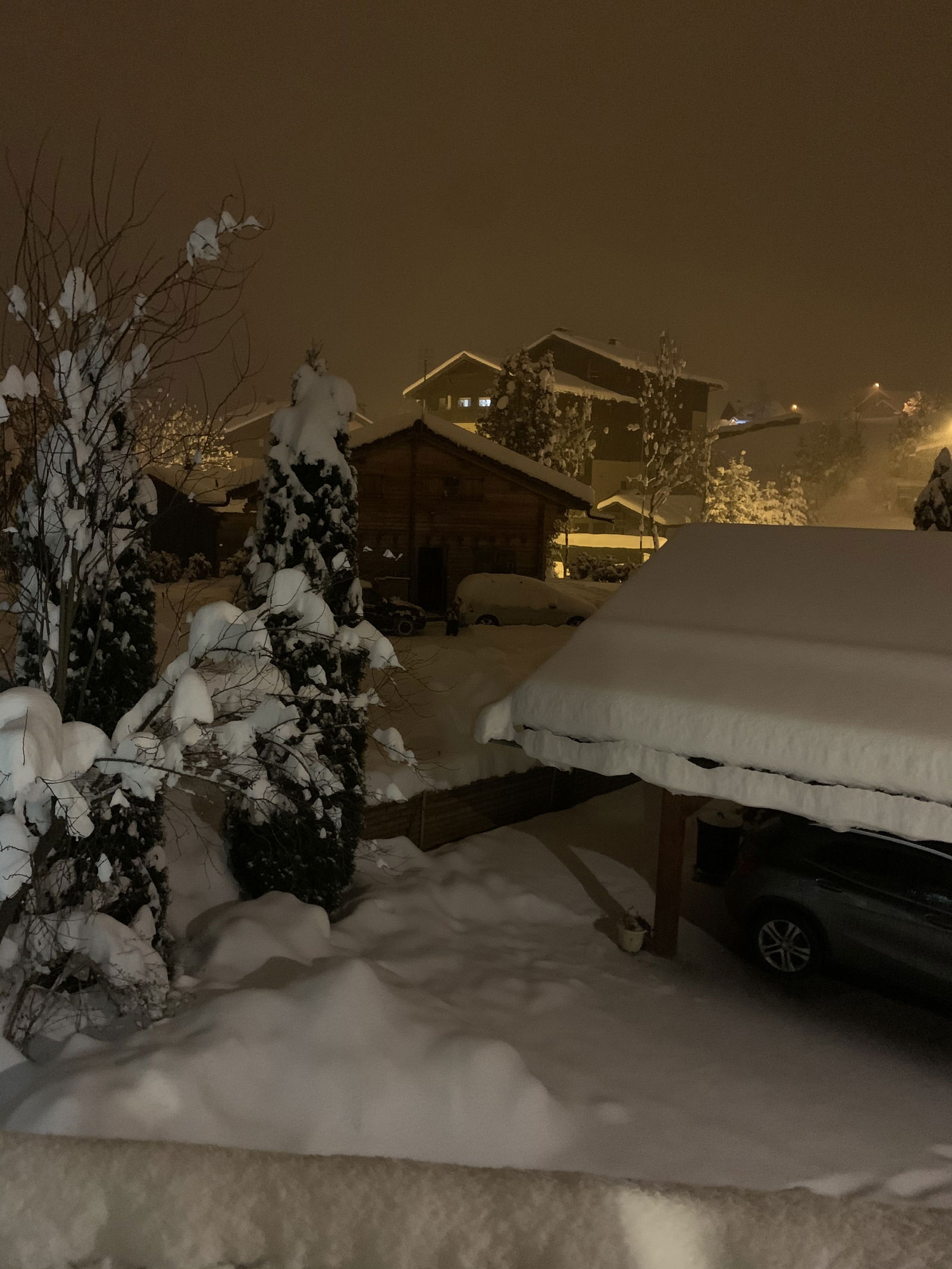 Gastfamilie Arâches-la-Frasse 245104