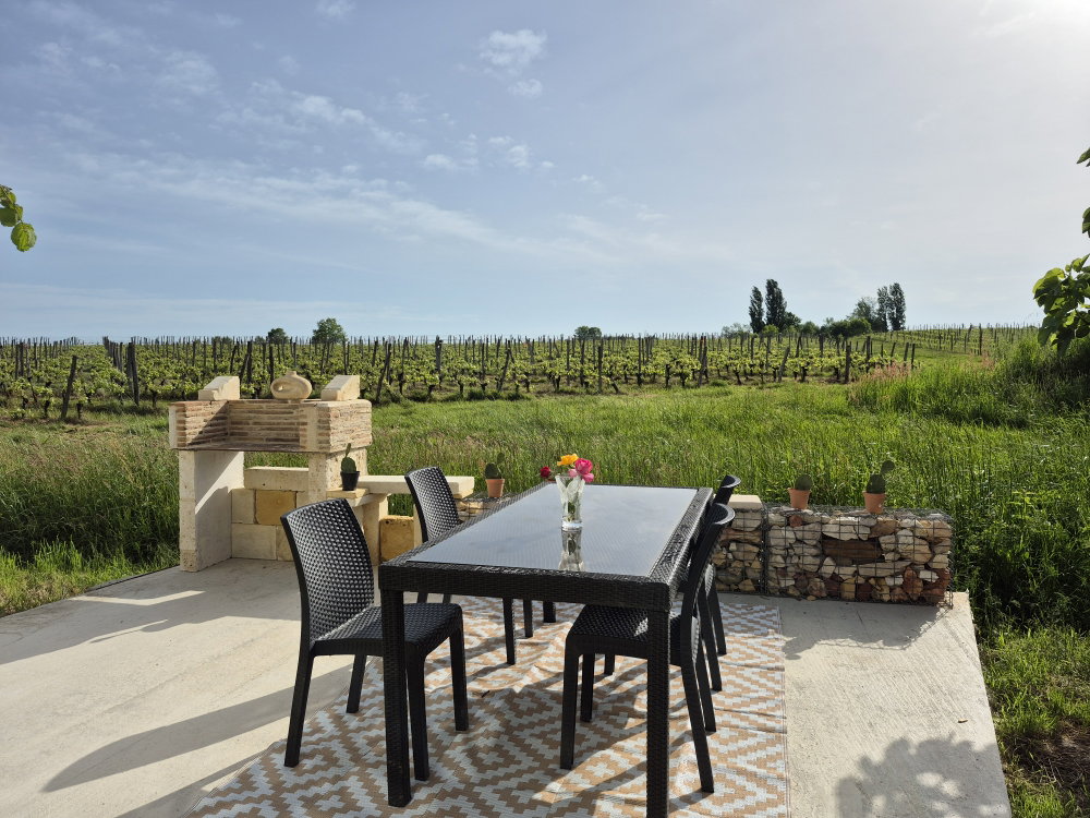 Gesamte Unterkunft Monbazillac 533920