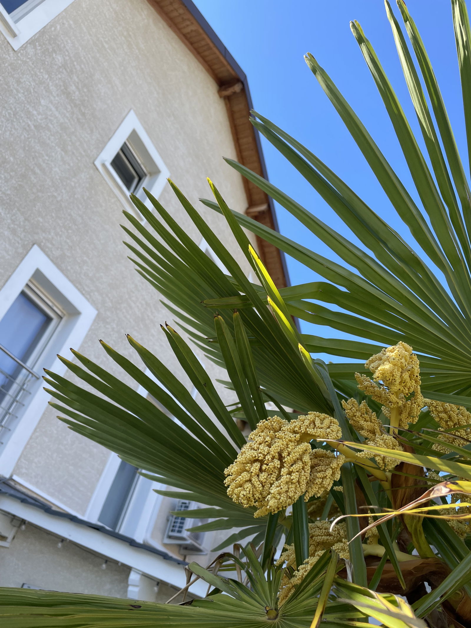 Gastfamilie Ambilly 363910