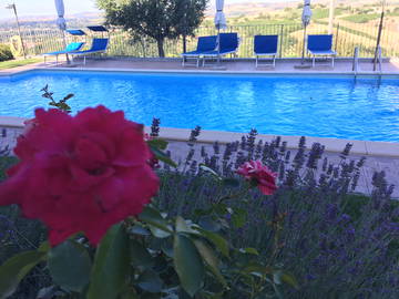 Logement Entier Marche 127444-5