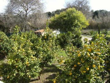 Logement Entier Sardegna 134248-9