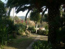 Logement Entier Sardegna 134248-12