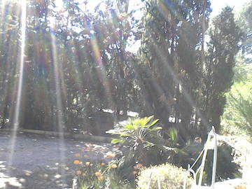 Logement Entier Aubagne 265826-8