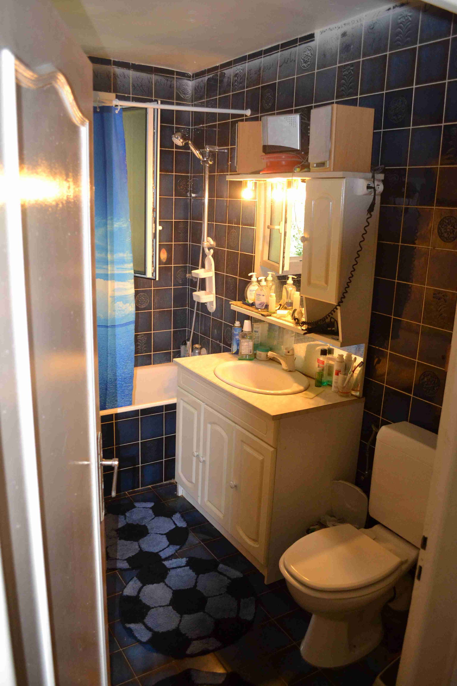 Ganzes Haus Ferney-Voltaire 258681