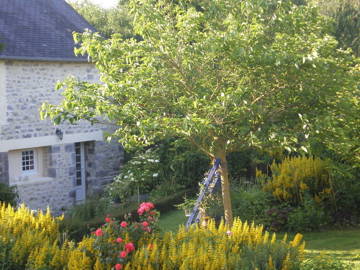 Roomlala | In Der Nähe Von Meer, Ruhiges, Charmantes Häuschen In Orval Garden