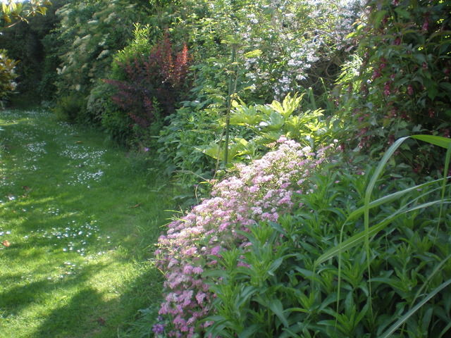 Unabhängiges Studio Orval 1518