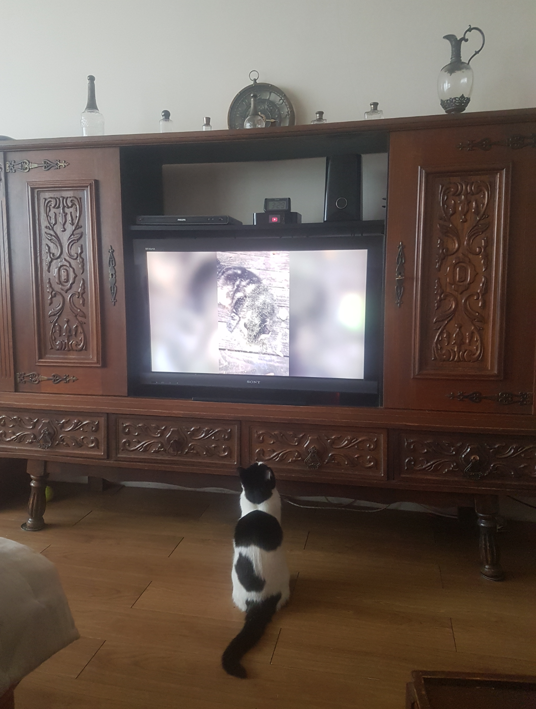 Famiglia Levallois-Perret 265997