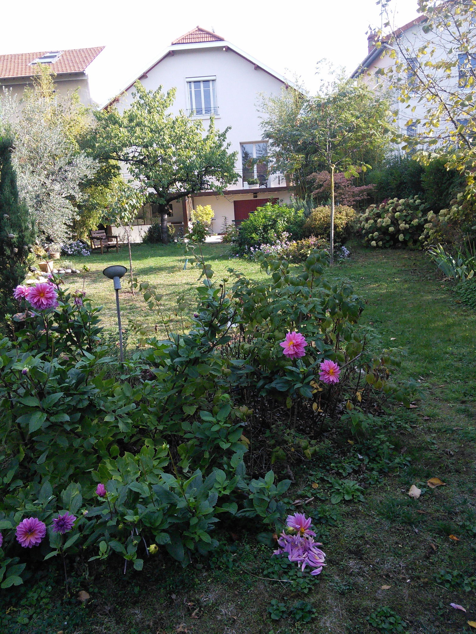 Homestay Lyon 118516