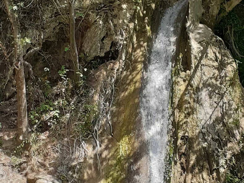 Gastfamilie Marseille 240497-4